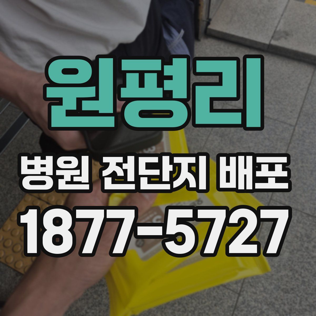 원평리 병원 전단지 배포