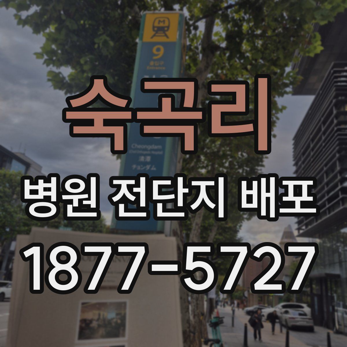 숙곡리 병원 전단지 배포