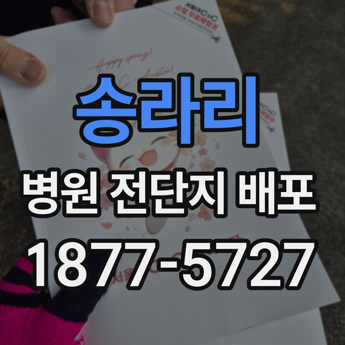 송라리 병원 전단지 배포
