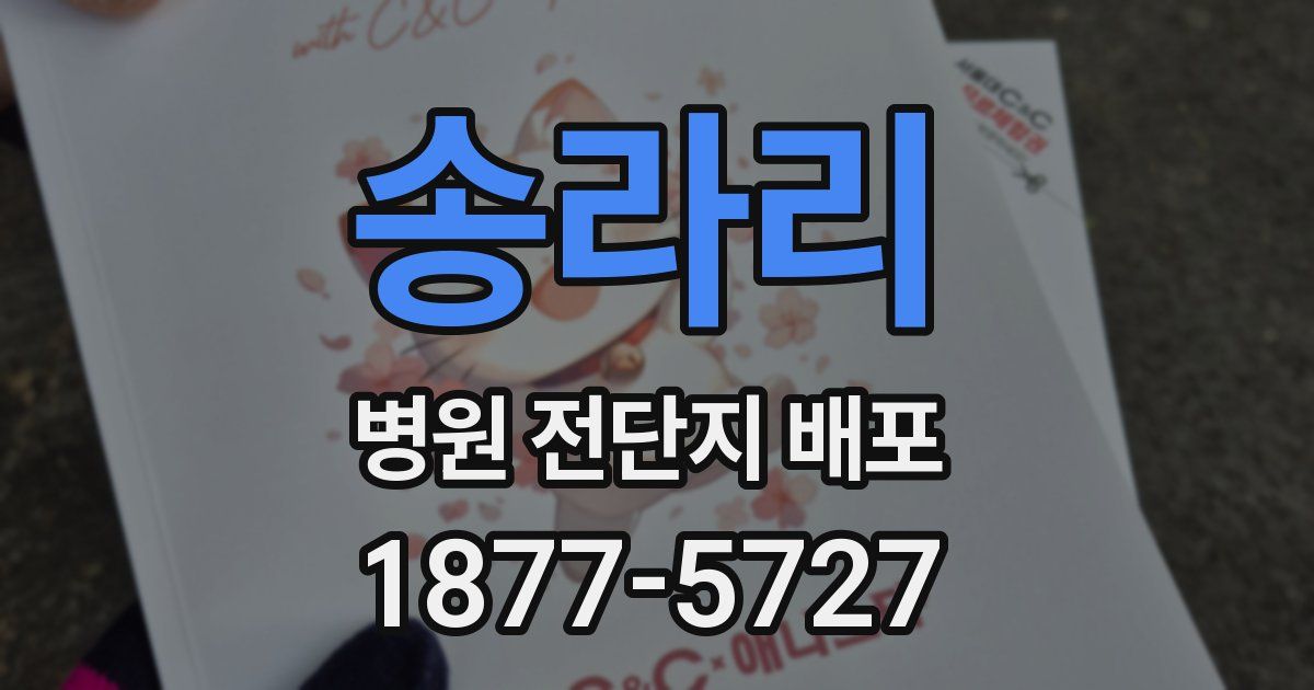 송라리 병원 전단지 배포