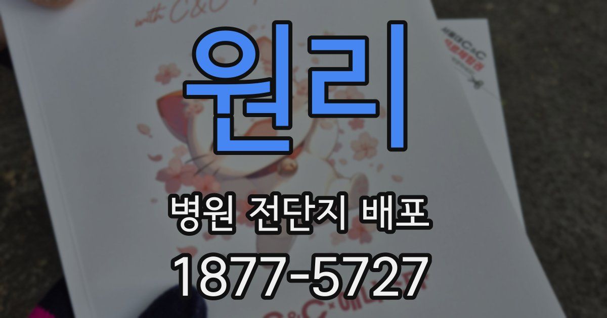 원리 병원 전단지 배포
