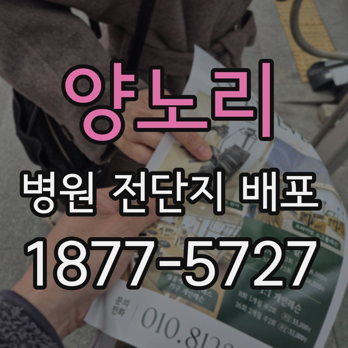 양노리 병원 전단지 배포