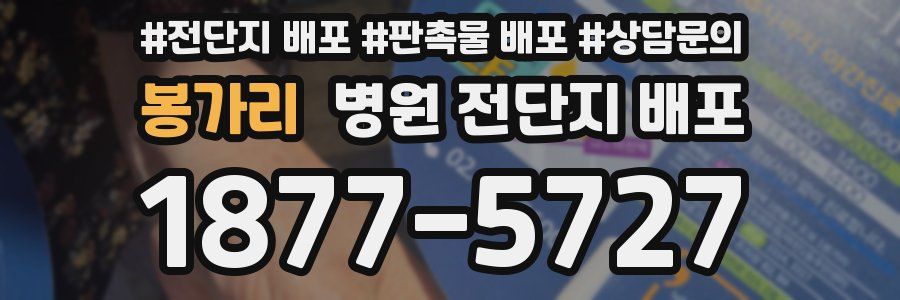 봉가리 병원 전단지 배포