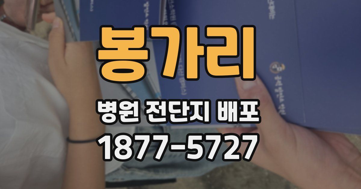 봉가리 병원 전단지 배포