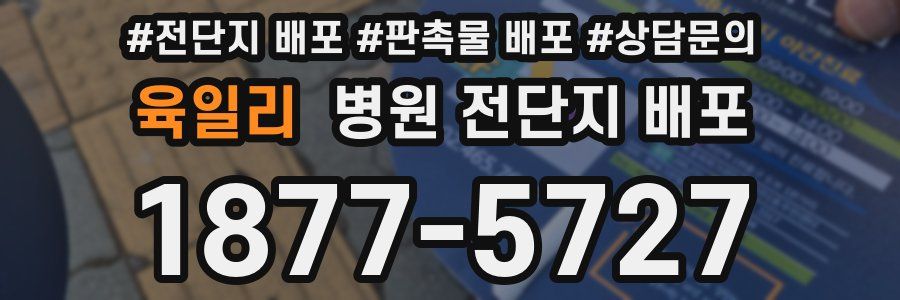 육일리 병원 전단지 배포