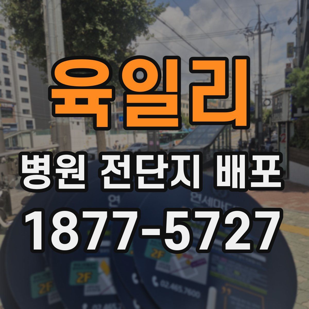 육일리 병원 전단지 배포