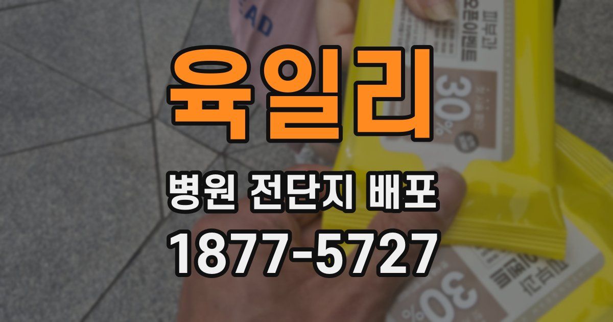 육일리 병원 전단지 배포