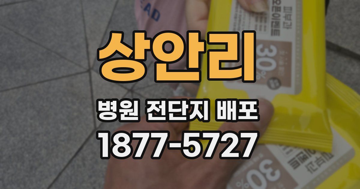 상안리 병원 전단지 배포