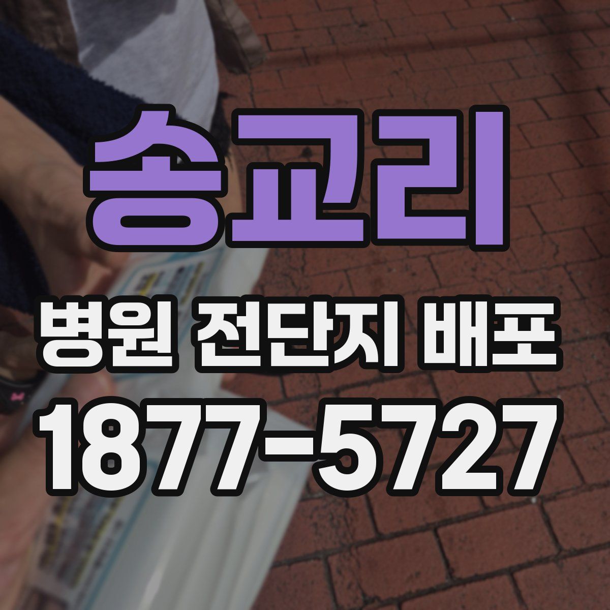송교리 병원 전단지 배포