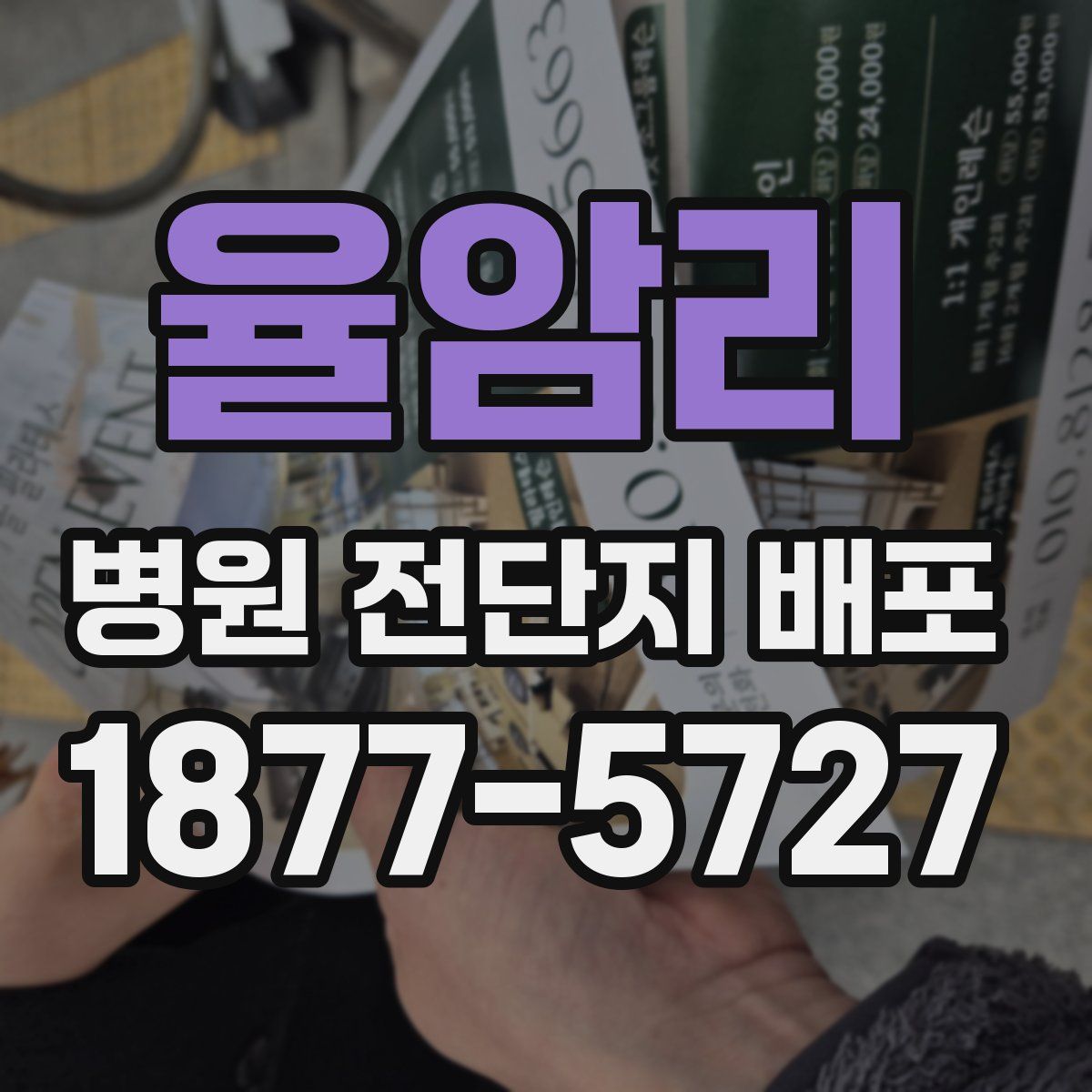 율암리 병원 전단지 배포