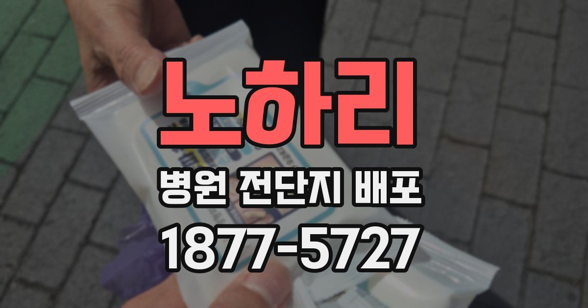 노하리 병원 전단지 배포