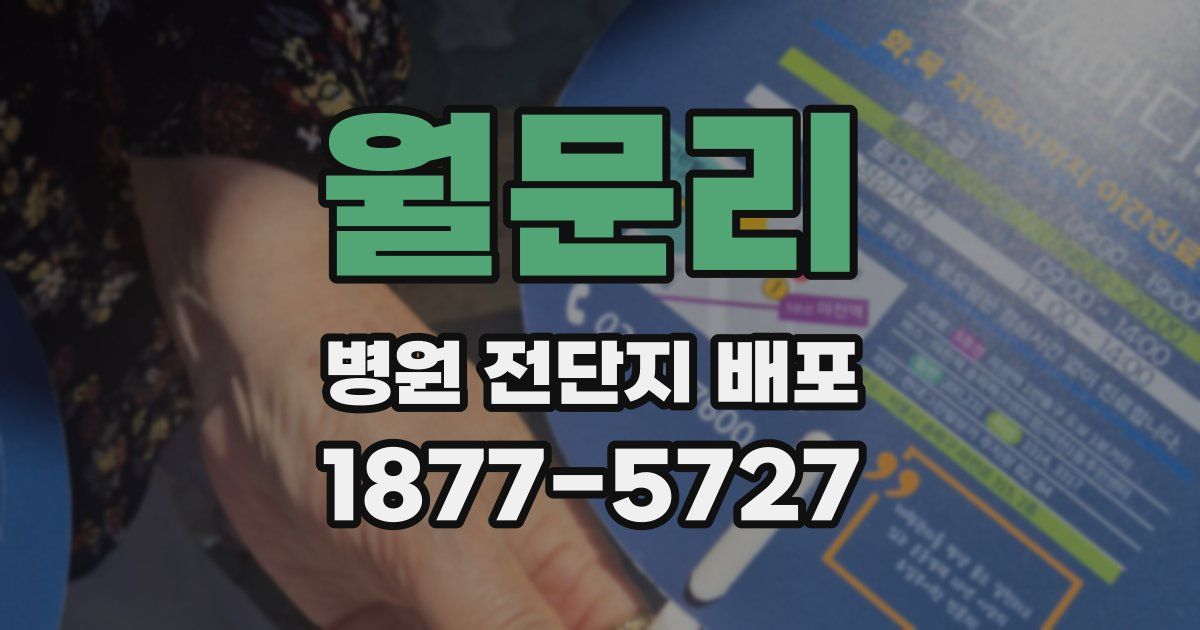 월문리 병원 전단지 배포