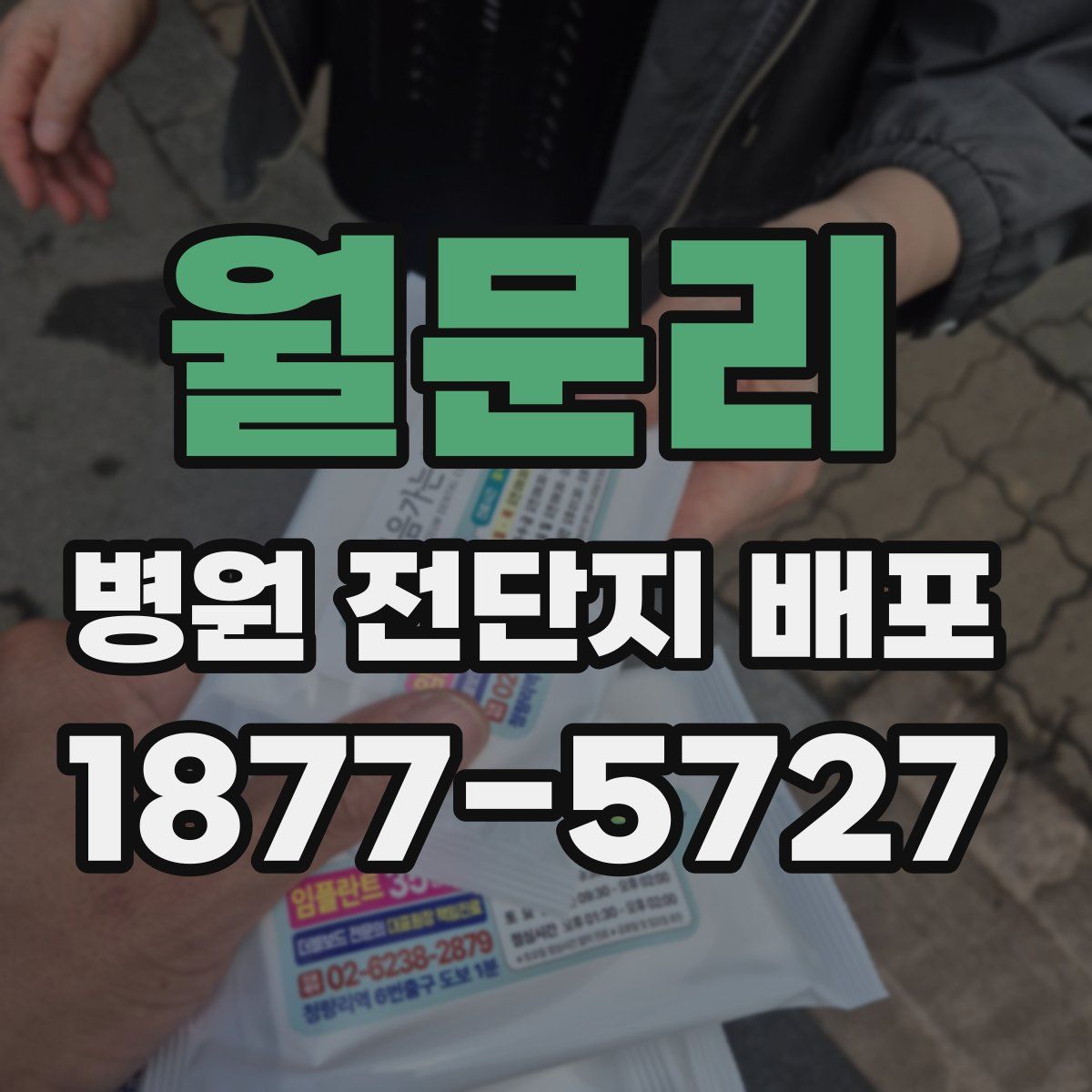 월문리 병원 전단지 배포