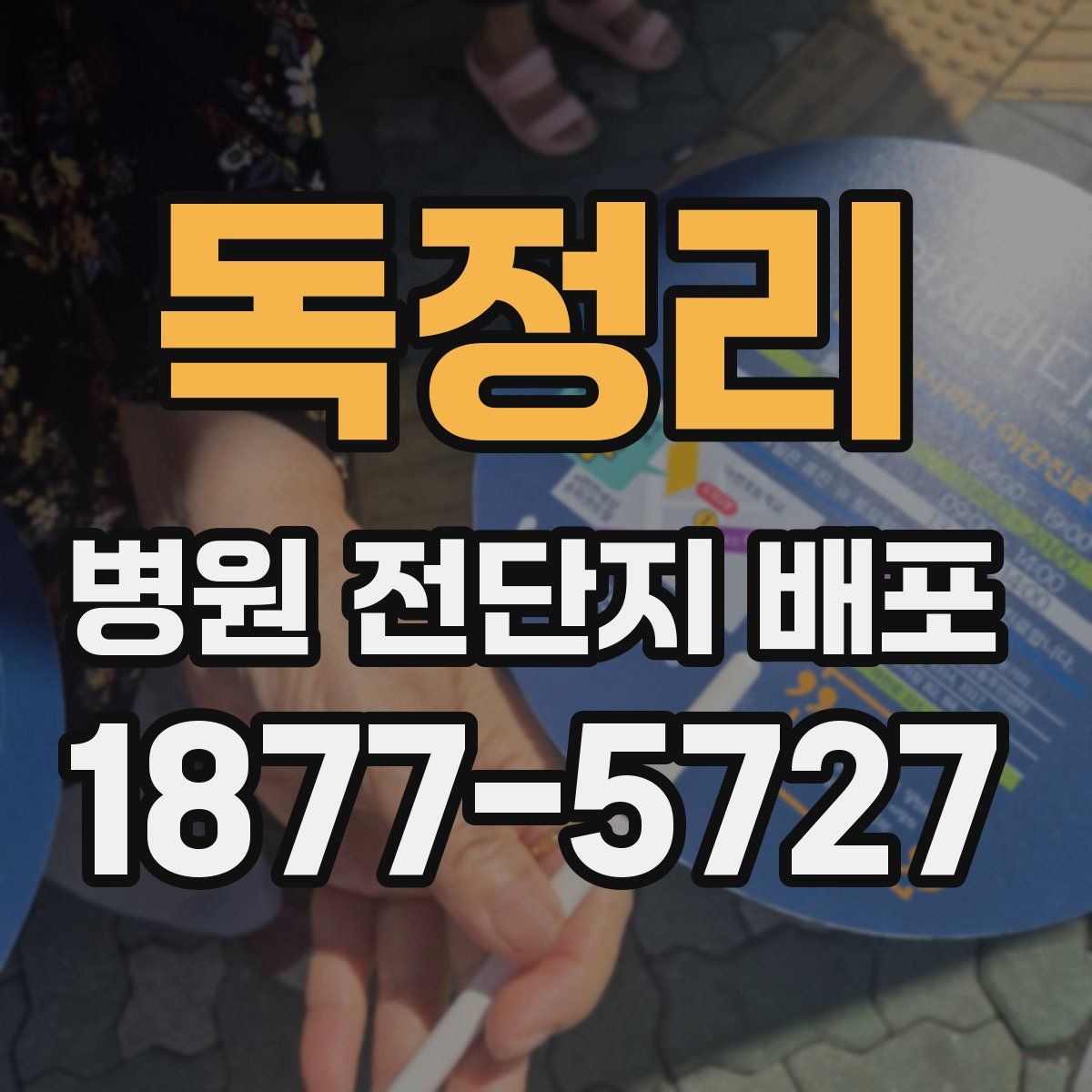 독정리 병원 전단지 배포