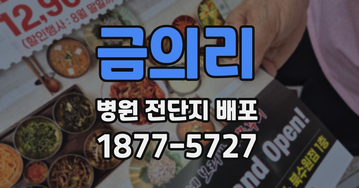 금의리 병원 전단지 배포