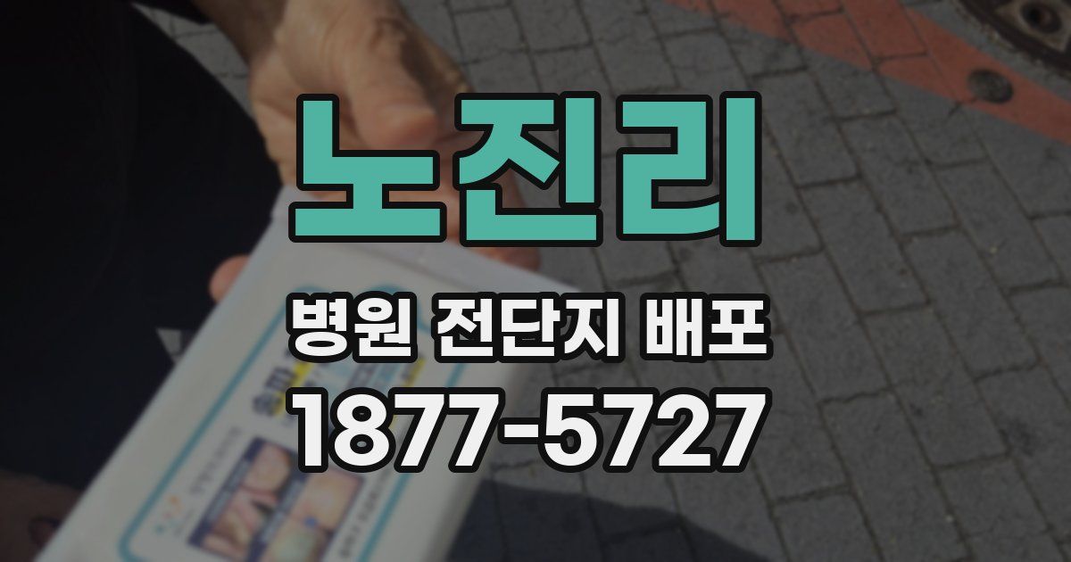 노진리 병원 전단지 배포