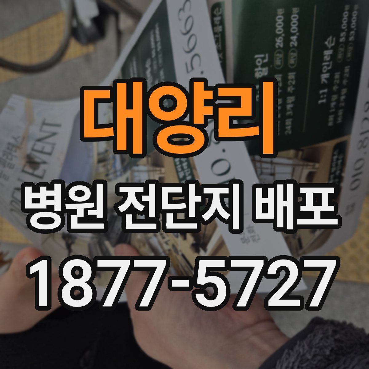 대양리 병원 전단지 배포