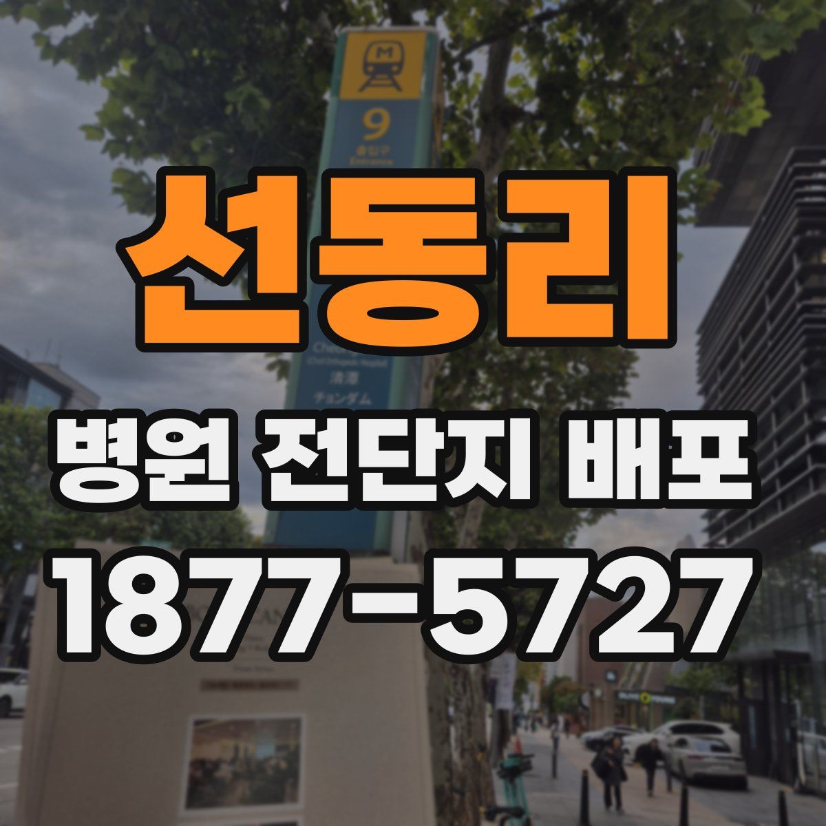 선동리 병원 전단지 배포