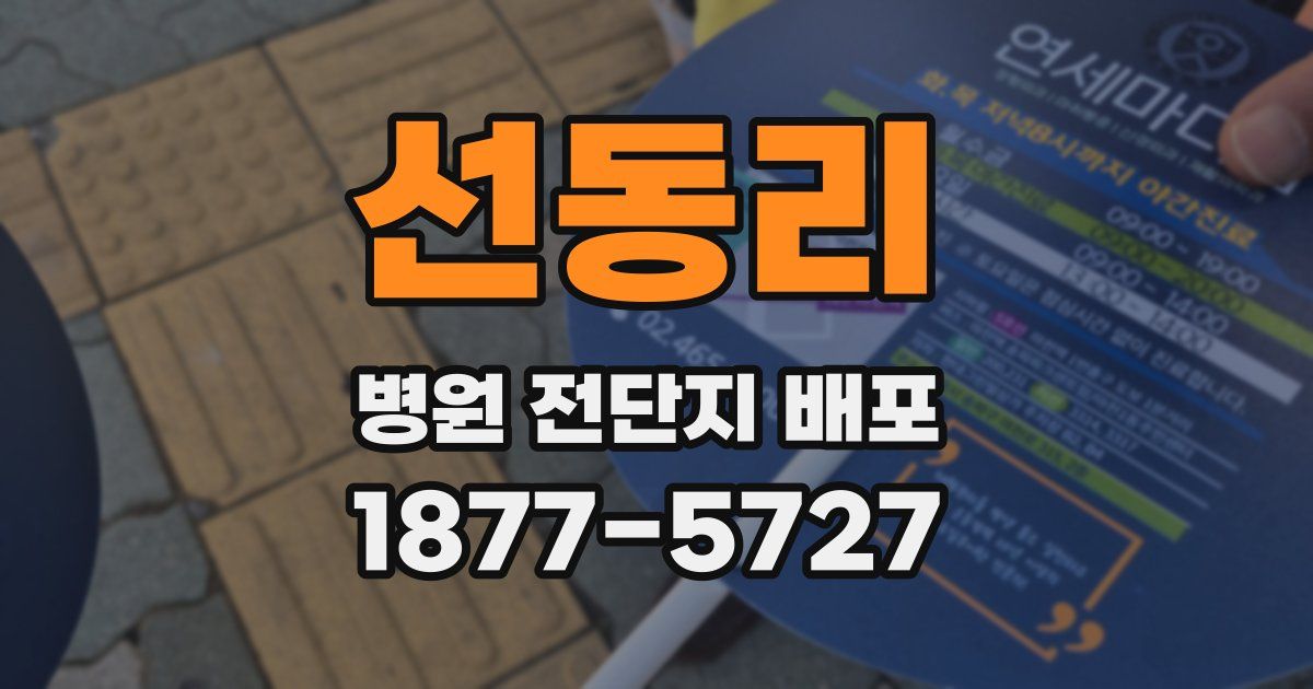 선동리 병원 전단지 배포