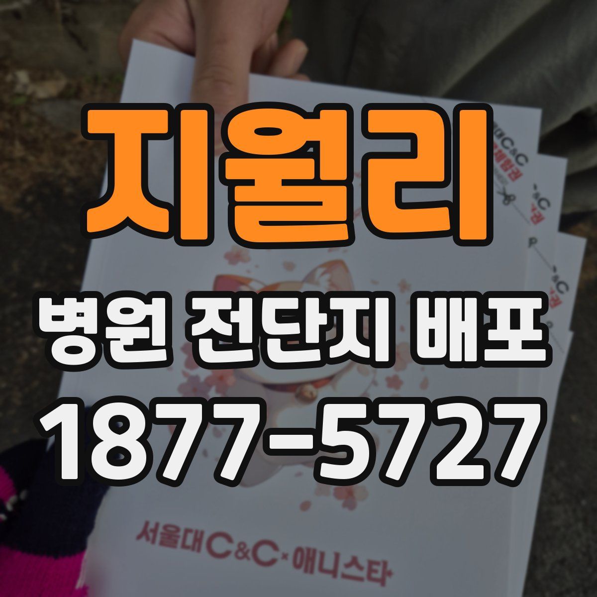 지월리 병원 전단지 배포