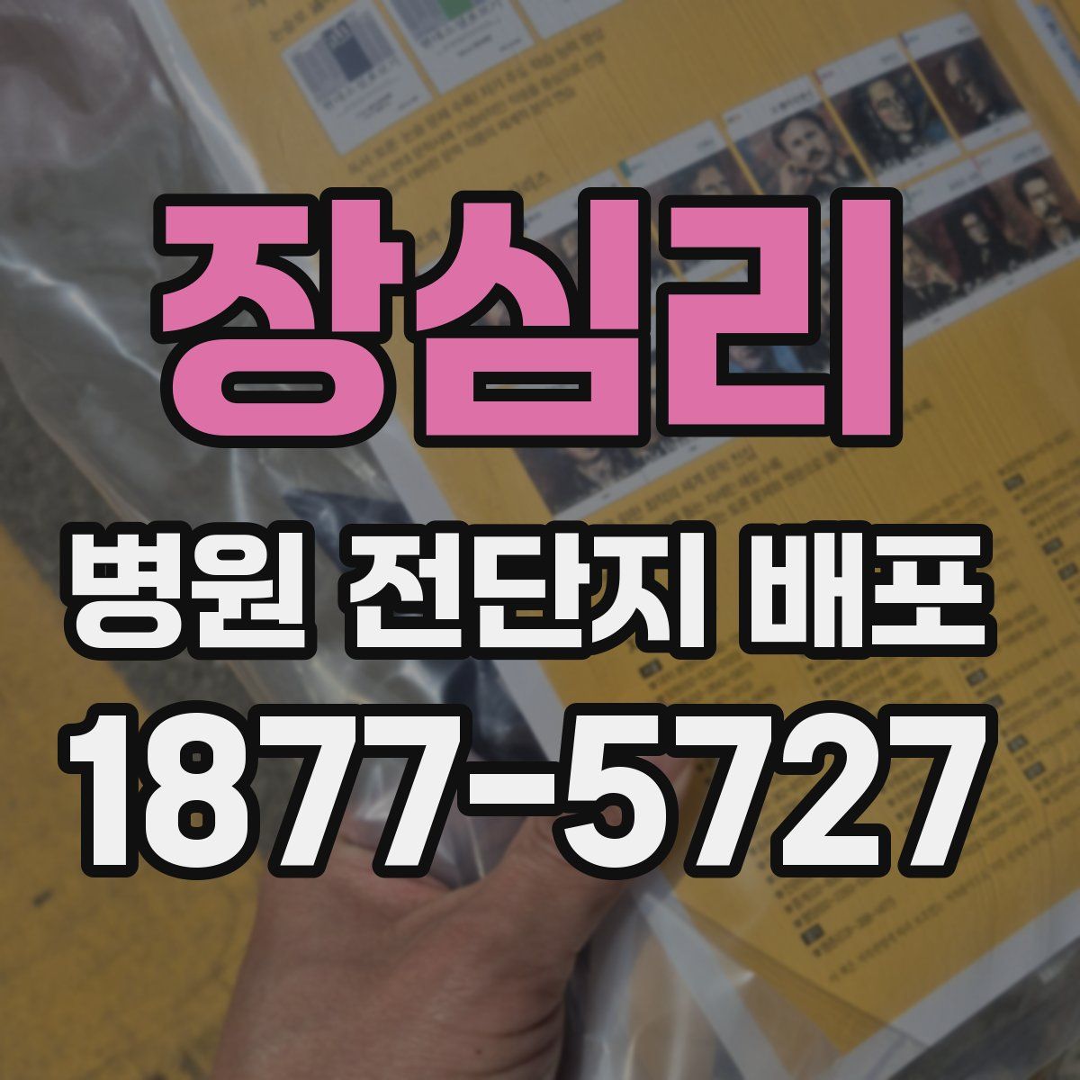 장심리 병원 전단지 배포