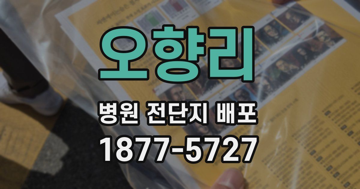 오향리 병원 전단지 배포