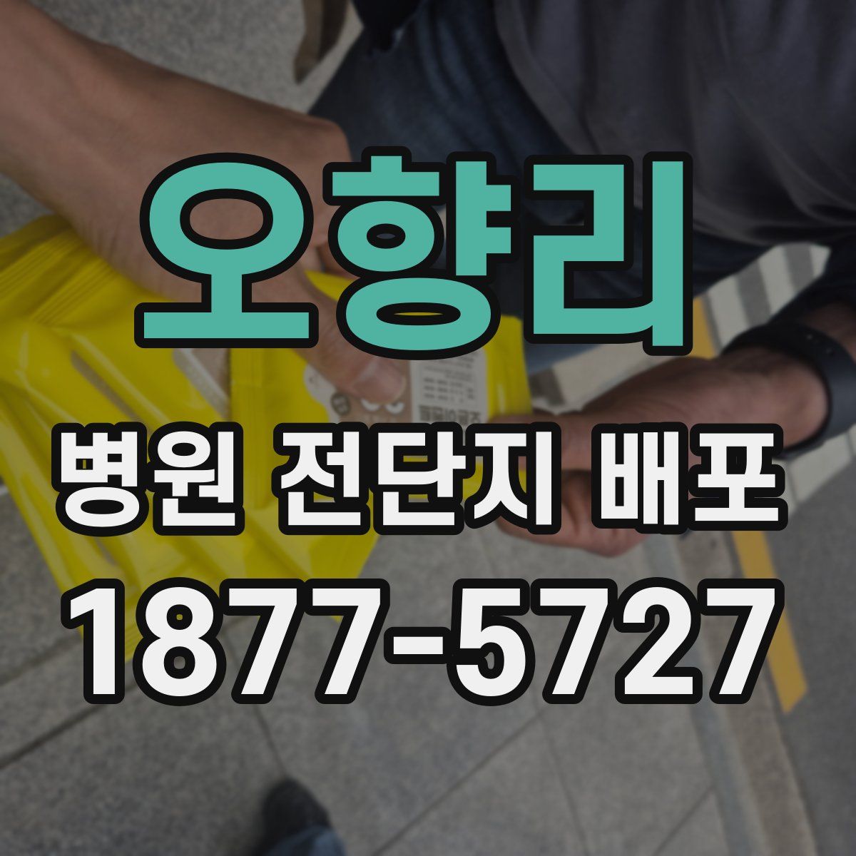오향리 병원 전단지 배포