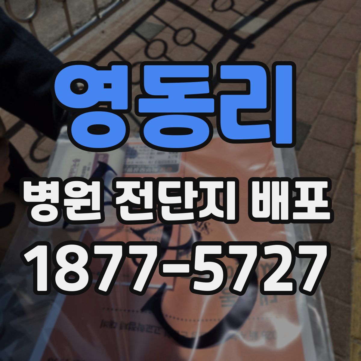 영동리 병원 전단지 배포