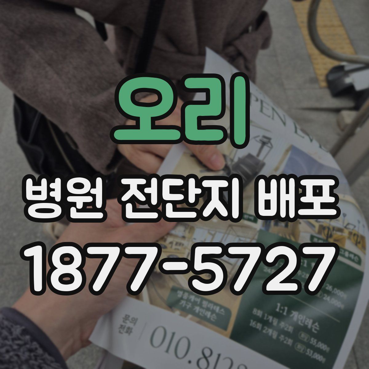 오리 병원 전단지 배포