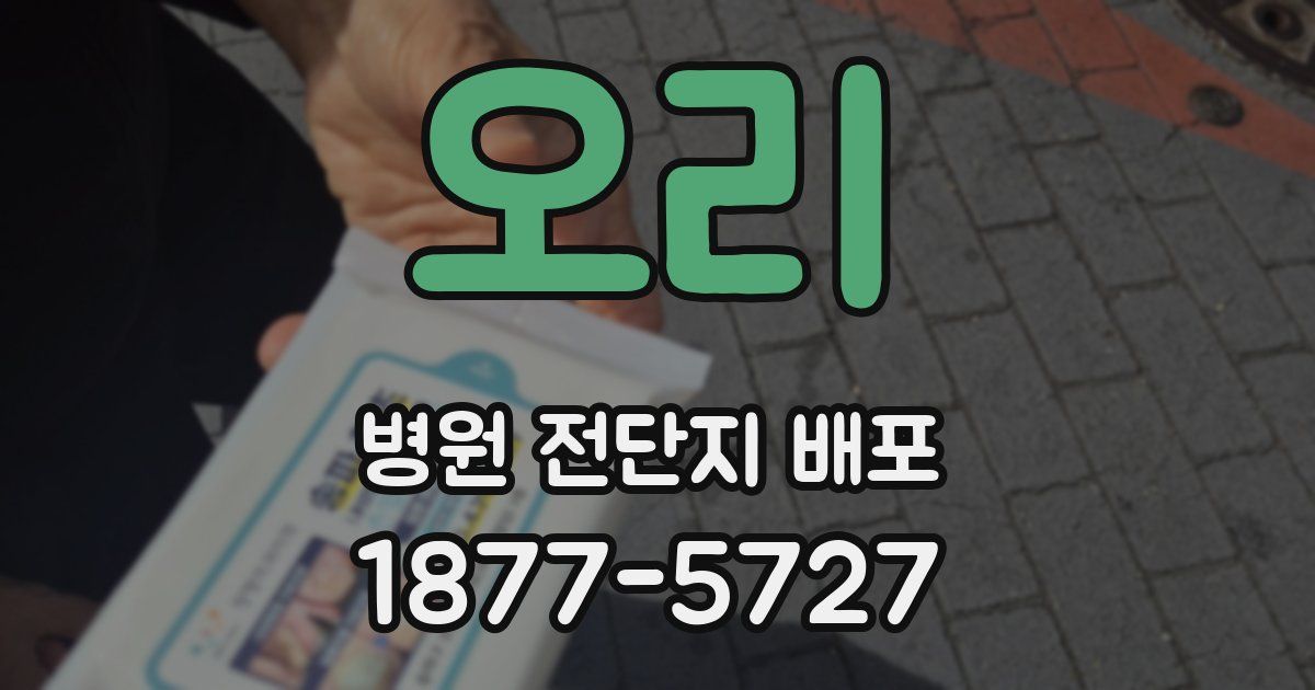 오리 병원 전단지 배포