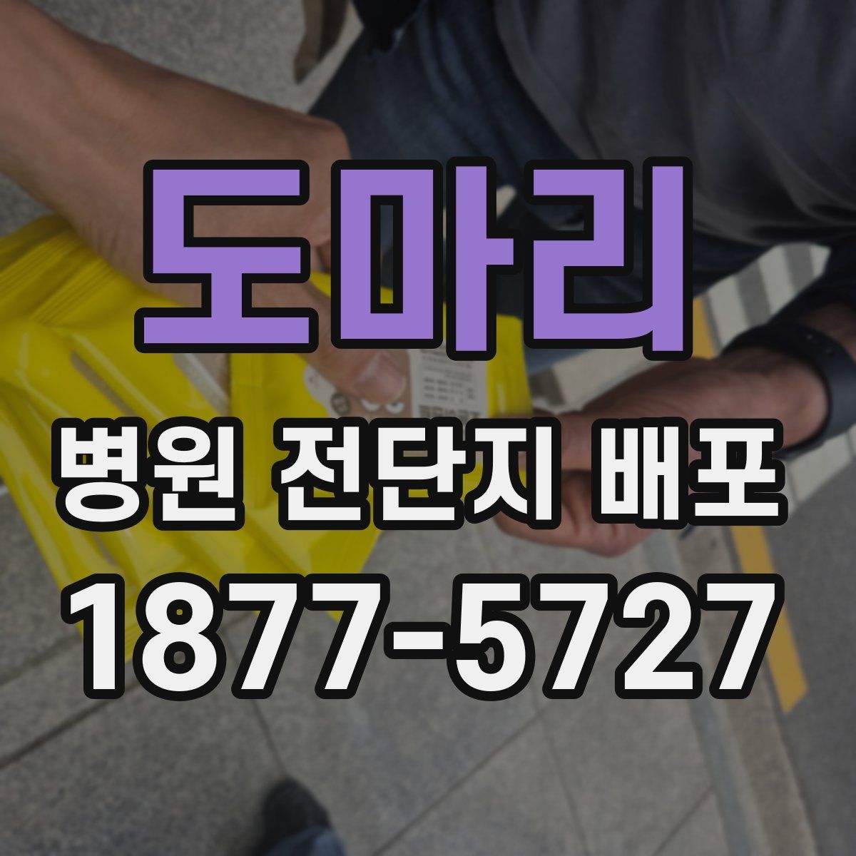 도마리 병원 전단지 배포