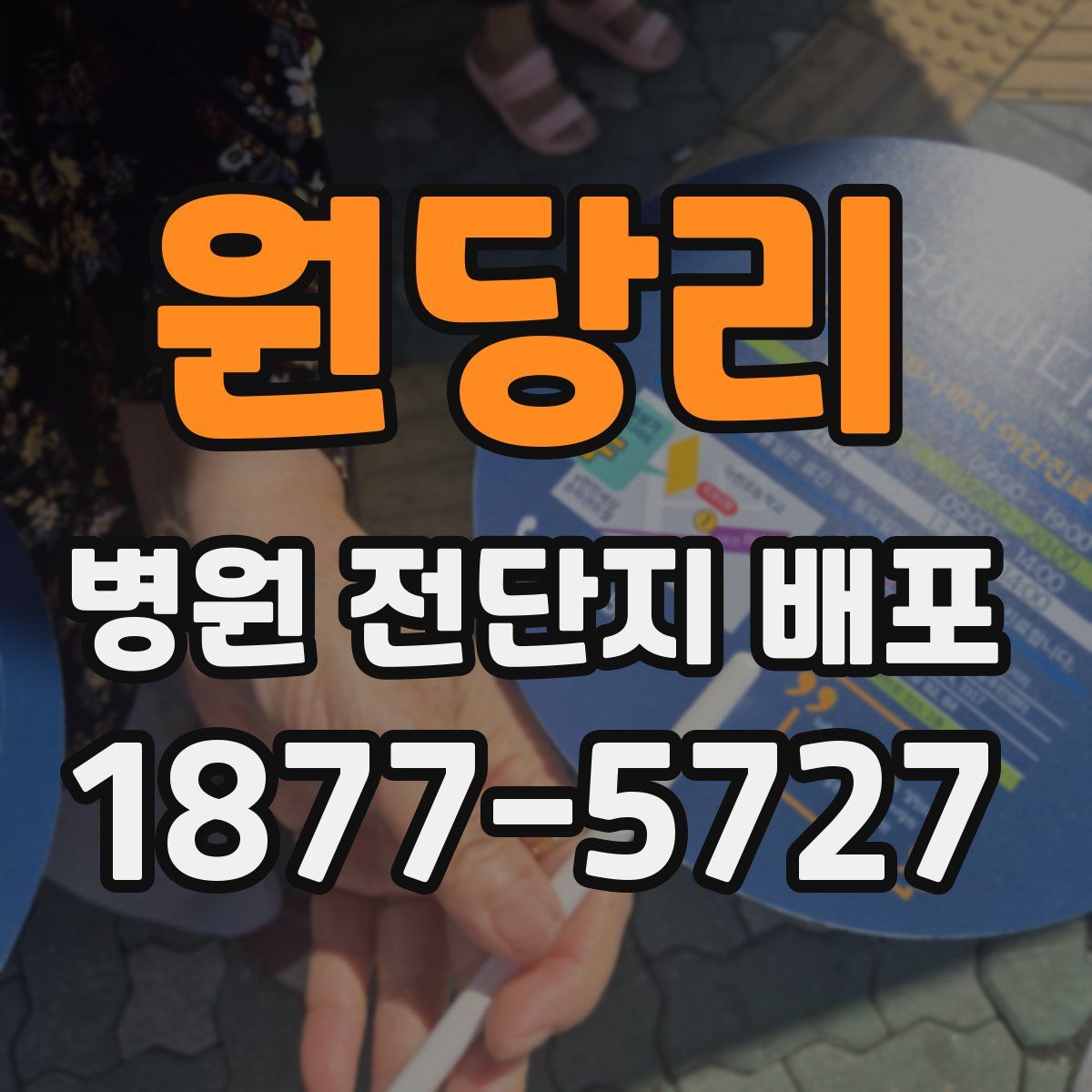 원당리 병원 전단지 배포
