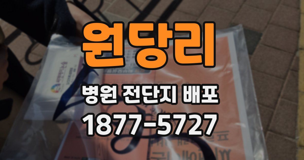 원당리 병원 전단지 배포