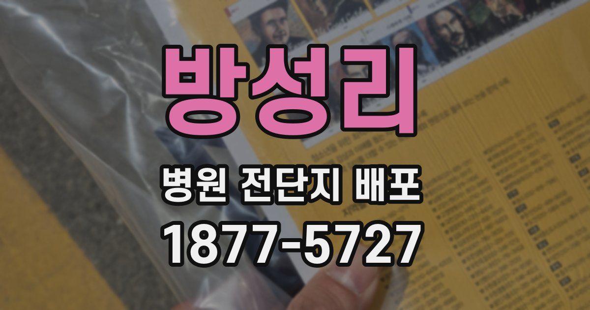 방성리 병원 전단지 배포