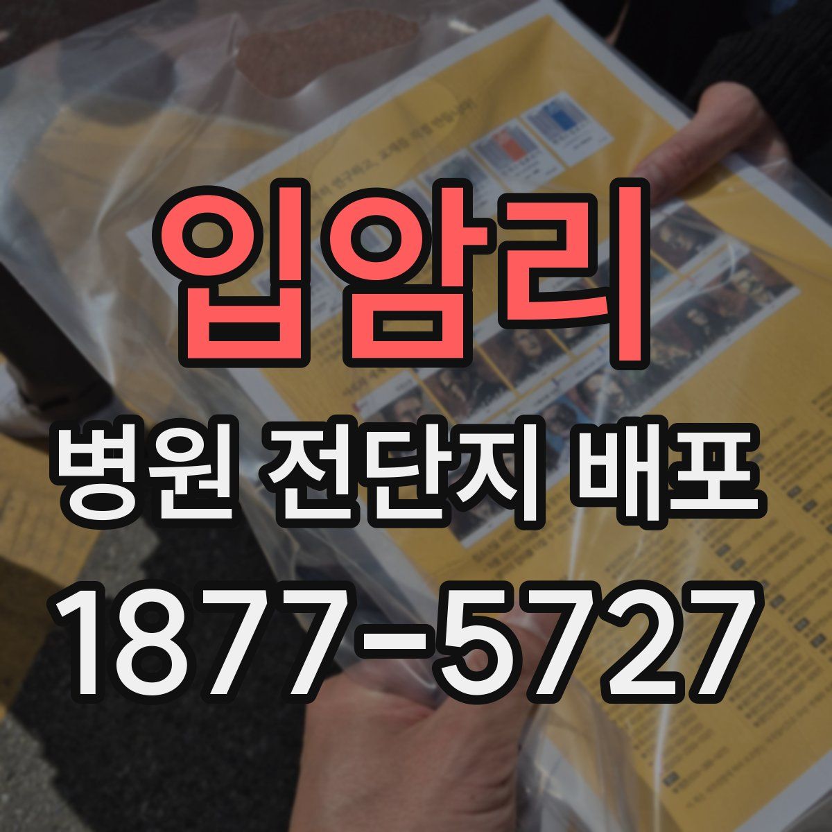 입암리 병원 전단지 배포