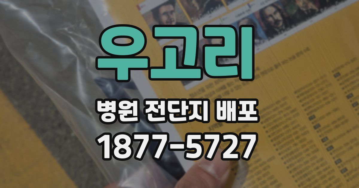 우고리 병원 전단지 배포