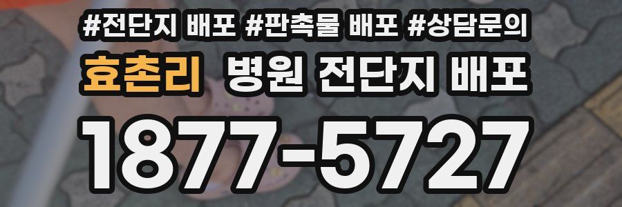 효촌리 병원 전단지 배포