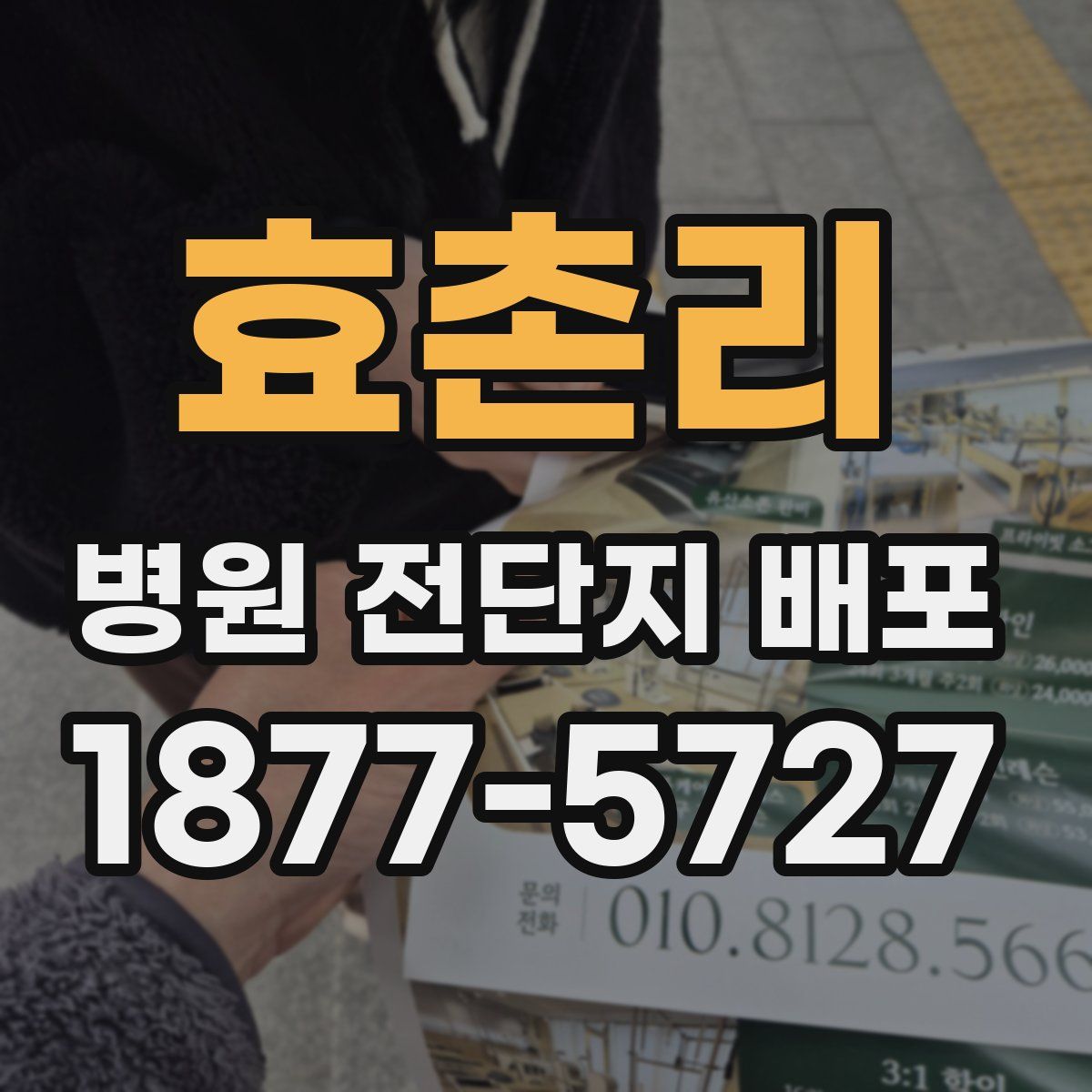 효촌리 병원 전단지 배포