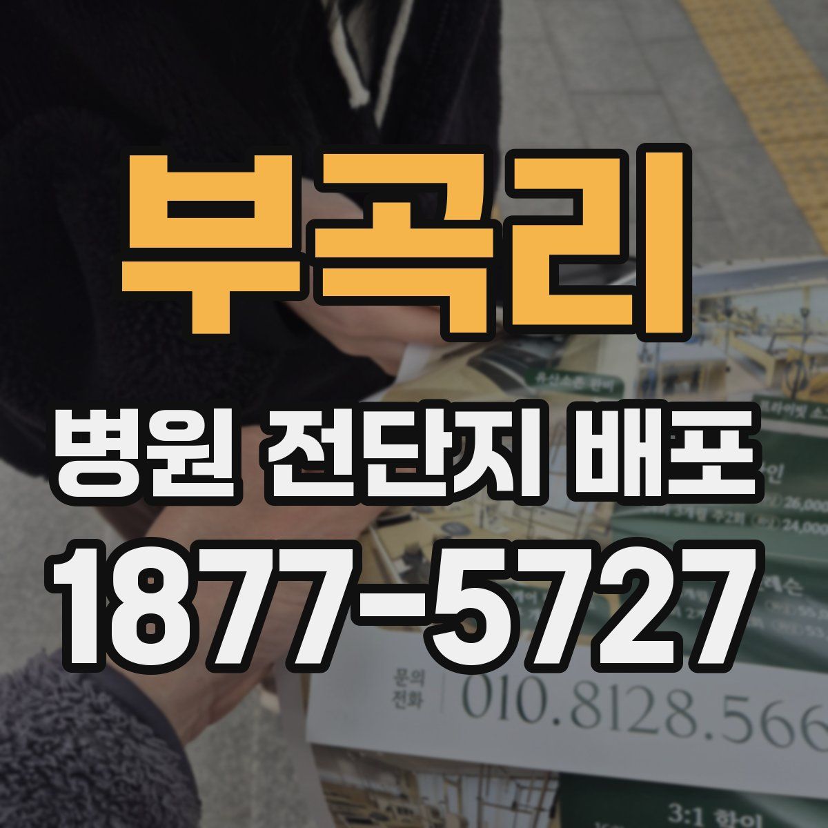 부곡리 병원 전단지 배포