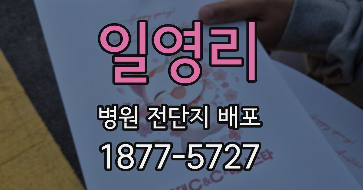 일영리 병원 전단지 배포
