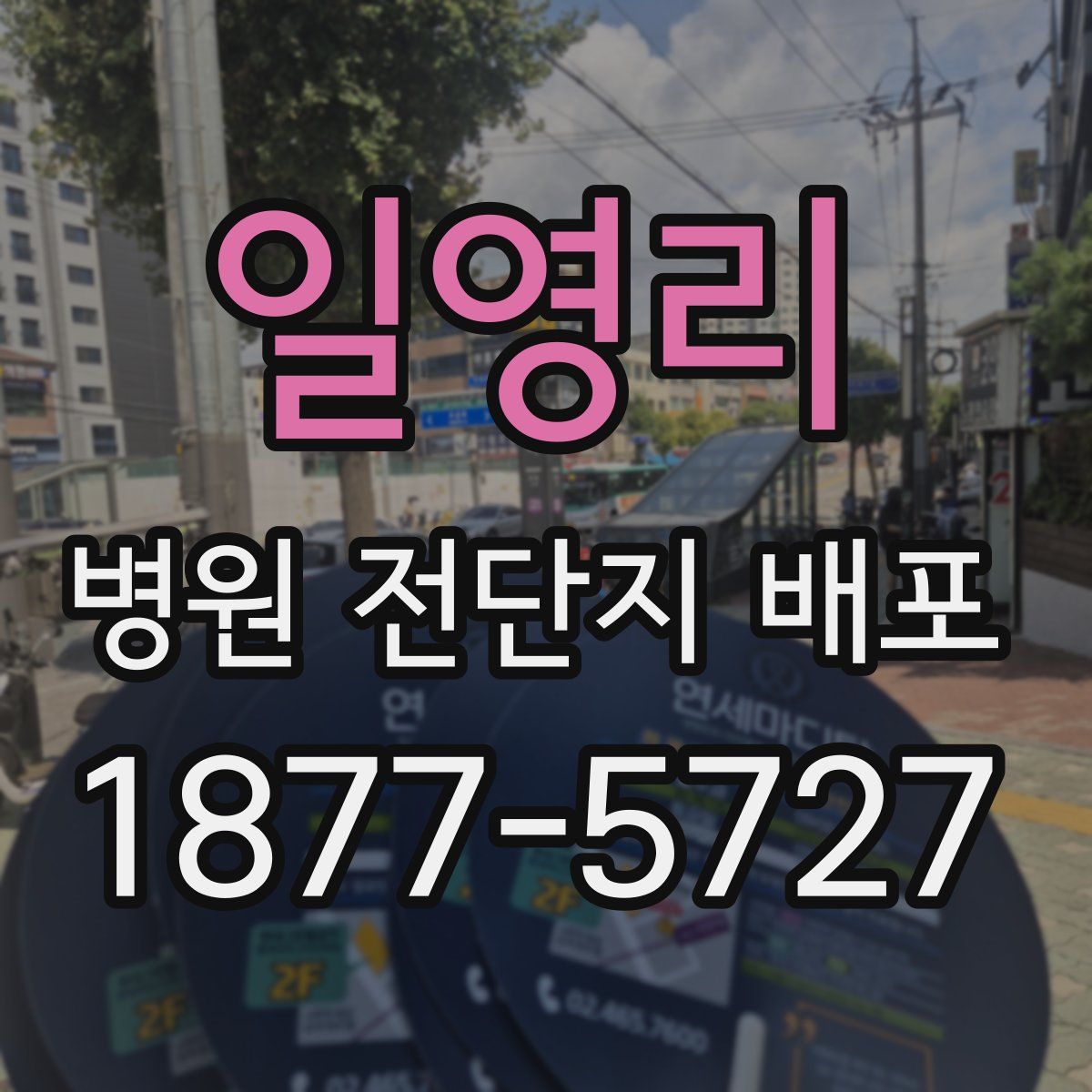 일영리 병원 전단지 배포