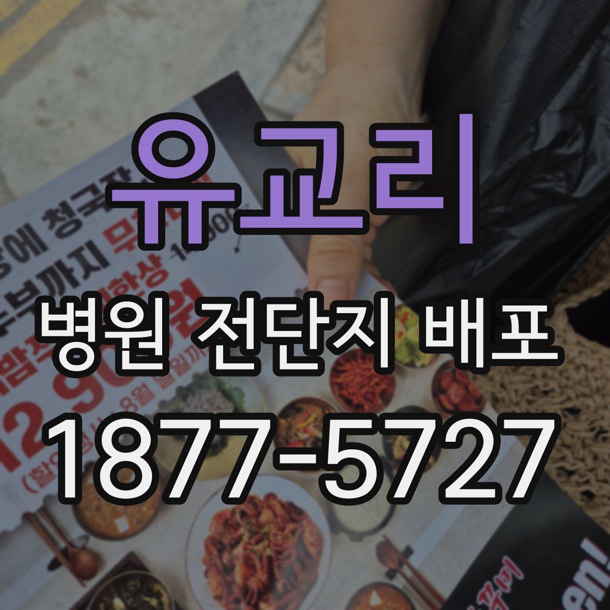 유교리 병원 전단지 배포