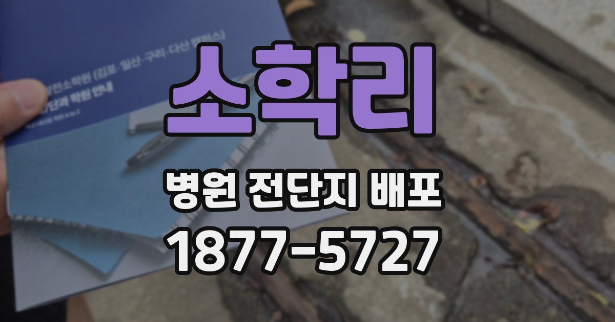 소학리 병원 전단지 배포