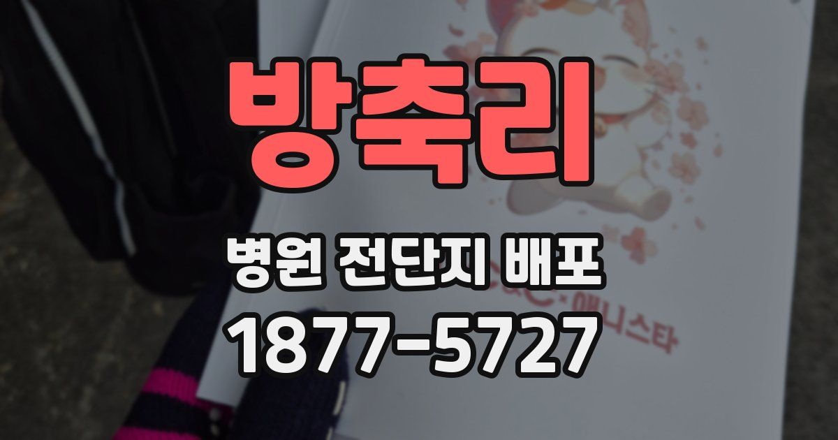 방축리 병원 전단지 배포