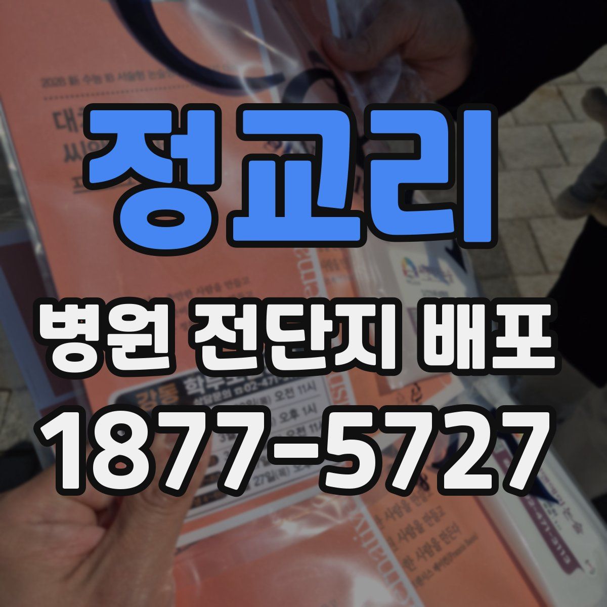 정교리 병원 전단지 배포