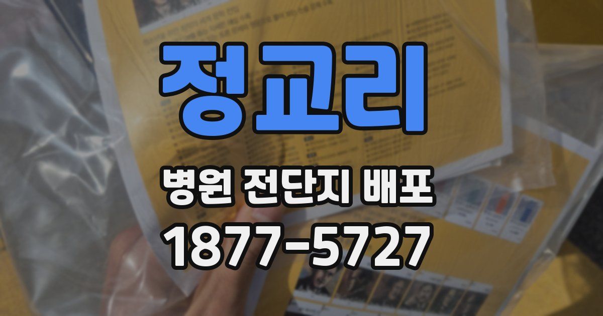 정교리 병원 전단지 배포
