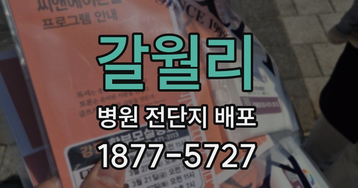 갈월리 병원 전단지 배포