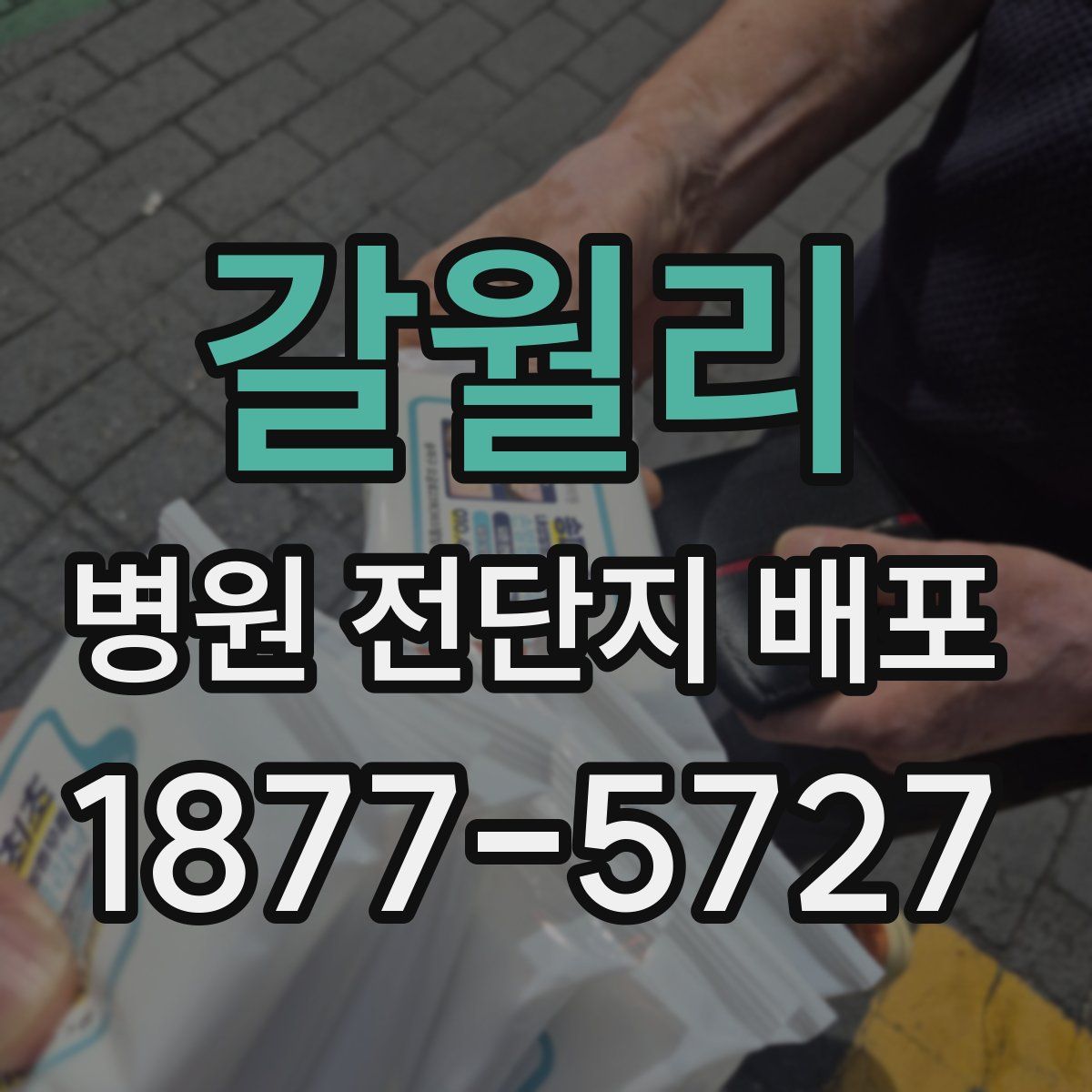 갈월리 병원 전단지 배포