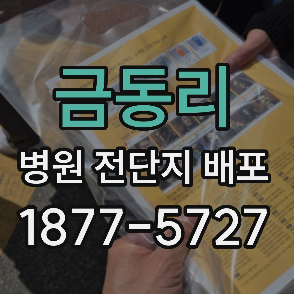 금동리 병원 전단지 배포