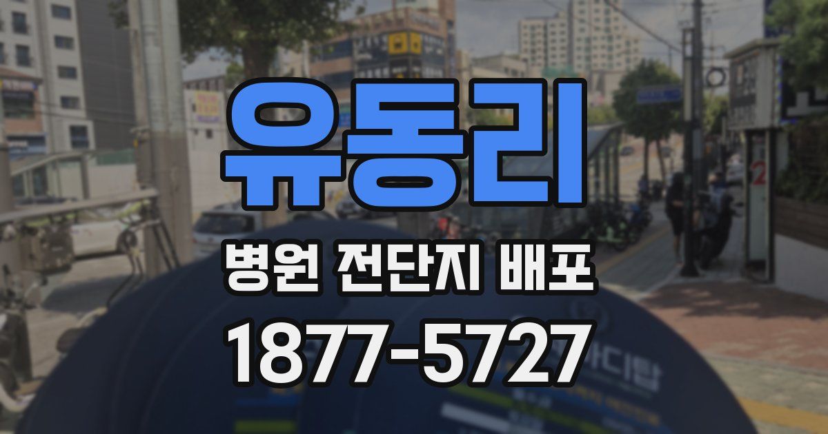 유동리 병원 전단지 배포